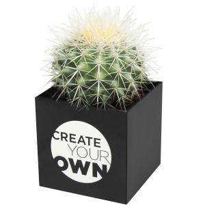 PF™ Hey Pots aluminium planted pot - cactus