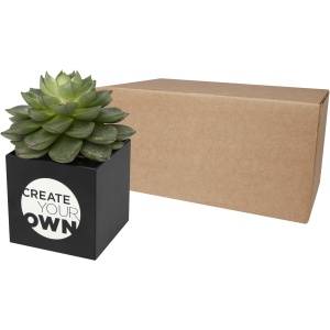 PF™ Hey Pots aluminium planted pot - succulent