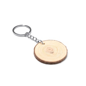 STA Budan Key