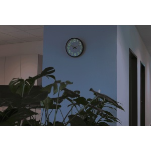 TOP™ Ceas de perete SUN