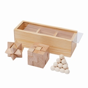 TOP PUTEREA CREIERULUI - Set de jocuri puzzle