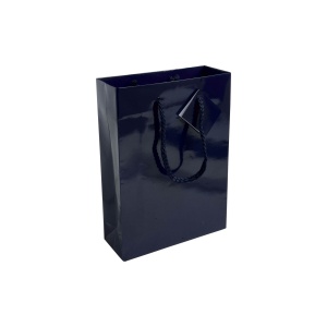 157 g/m2 laminated paper shopping bag with gusset and bottom reinforcement, string handles - Img 4