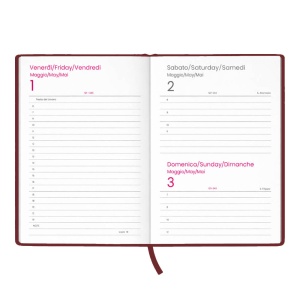 Agenda zilnică 2027. Copertă rigidă din cart laminat mat - Img 3