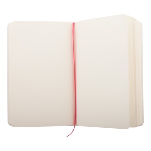 AP™ Blocnotes