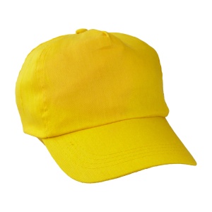 AP™ Sapca Baseball