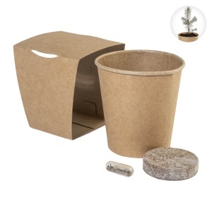 AP MerryGrow - set pentru cultivarea bradului de Crăciun