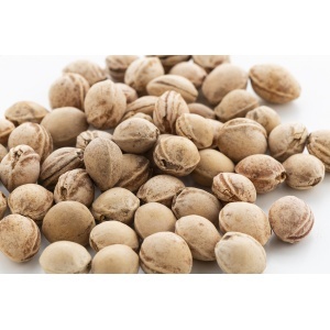 AP PitHeat - cherry seed pillow - Img 4