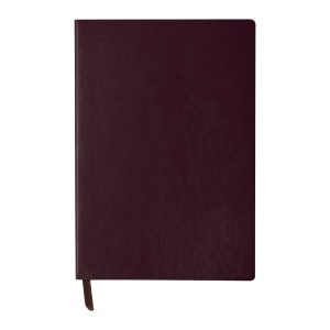 AP Sopuk - notebook