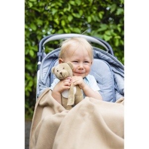 AX™ Plush teddy bear with blanket | Phil - Img 1