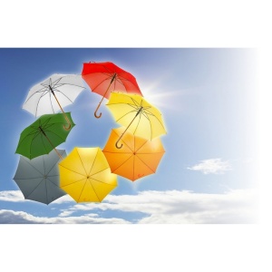 AX™ umbrelă automată | Hayden - Img 12