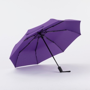 CO Cambridge umbrelă complet automată