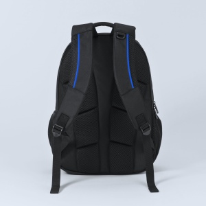 Co™ DYNAMIC RUCSAC BUSINESS CU DOUĂ COMPARTIMENTE