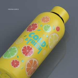 CO Nordic sticlă termică, 500 ml
