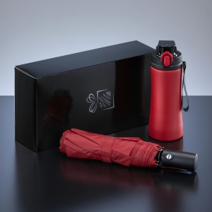 CO Primo Everyday Set: sticlă de apă 550 ml și umbrelă complet automată Harvard