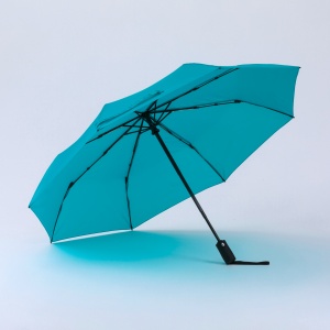 CO Primo Everyday Set: sticlă de apă 550 ml și umbrelă complet automată Harvard