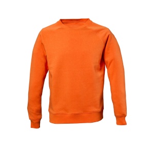 JR Sweatshirt Wisconsin