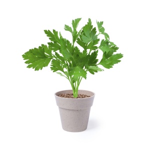 MAK Nertel - Flowerpot Set - Img 3