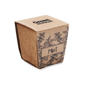 MO MINT KIT - Kit de creștere a semințelor de