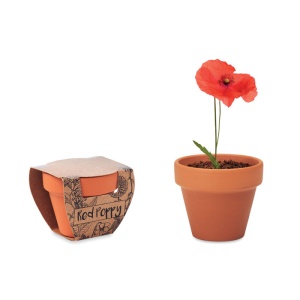 MO RED POPPY - Vas teracota "mac"
