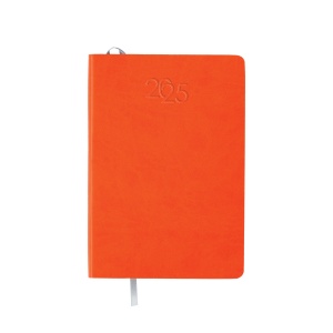 ON™ Daily diary 2025 with flexible PU cover