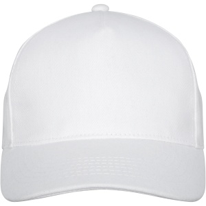PF Doyle 5 panel 260 g/m2 cap