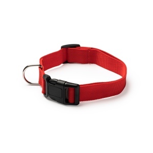 STA™ Korat - Collar - Img 4