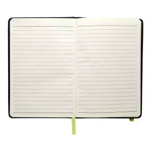 AP Andesite - notebook - Img 3