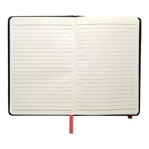 AP Andesite - notebook - Img 6