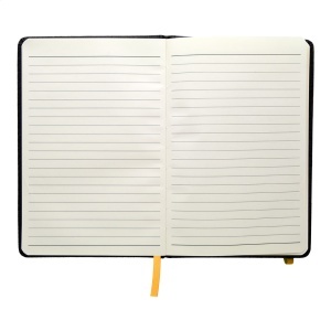 AP Andesite - notebook - Img 11