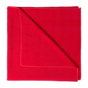 AP Evolve - towel - Img 2