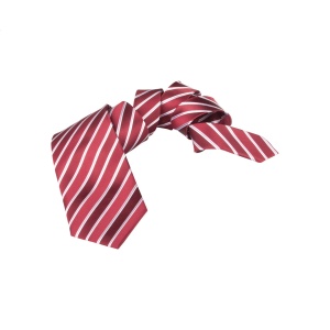 AP Vivonne - necktie - Img 2
