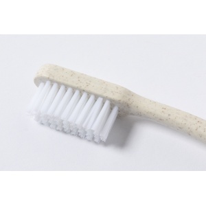 AP Wehoo - toothbrush - Img 3