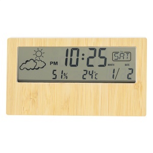 AP Zepra - weather station - Img 2