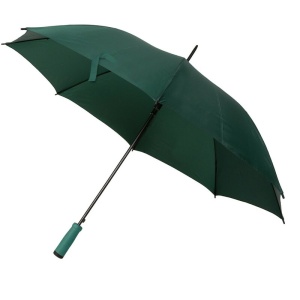 AX™ Automatic umbrella | Dwight - Img 8