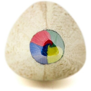 AX™ Creion multicolor - Img 4