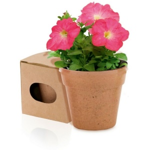 AX™ Flower pot, 5-8 petunia seeds and soil - Img 2