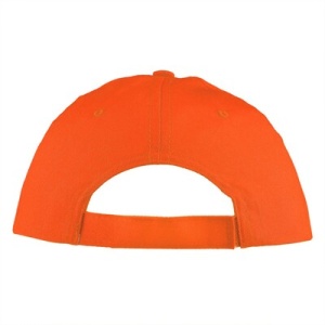AX Cap | Joseph