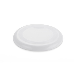 BC Frisbee ZING