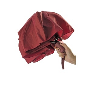 BC Umbrelă pliabilă REGO - Img 2