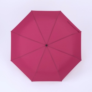 CO Cambridge umbrelă complet automată