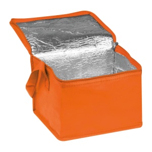 EA Geantă frigorifică non-woven Nieby