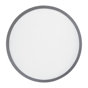 MC Frisbee