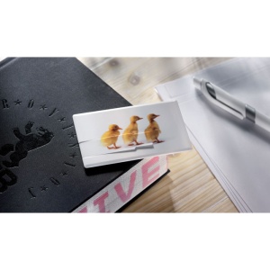 MO™ a Creditcard. USB flash 4GB
