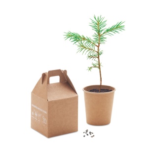 MO GROWTREE™ - Set din pin - Img 3