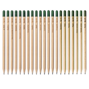 ON™ Sprout pencil made of sustainable wood with graphite lead. Plantable after use