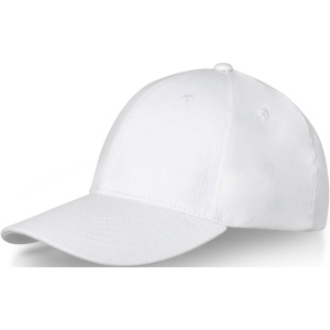PF™ Davis 6 panel cap