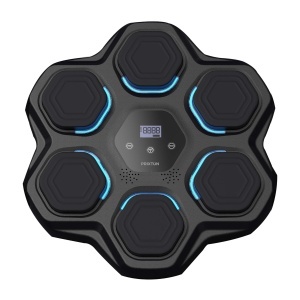PF Prixton BM100 Combat boxing machine