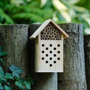 Royal Căsuță pentru insecte BEE - Img 5