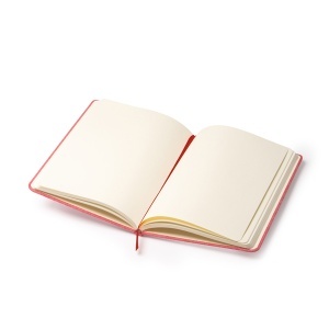STA™ Soral - Journal - Img 1