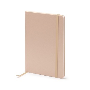 STA Notebook Fruti
